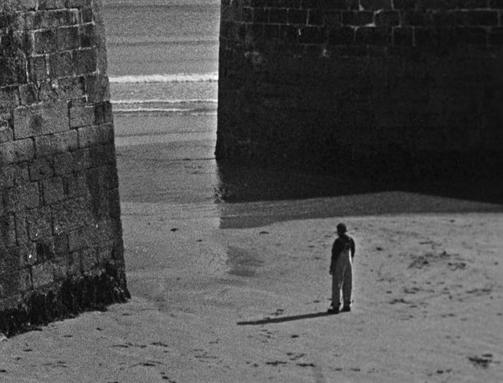 ベイト（餌）の画像