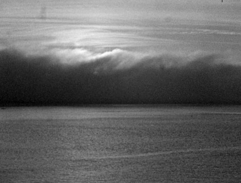 ベイト（餌）の画像