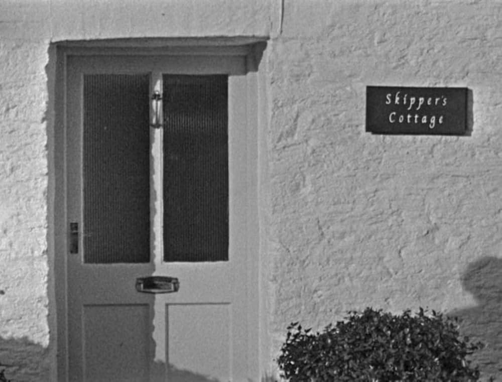 ベイト（餌）の画像