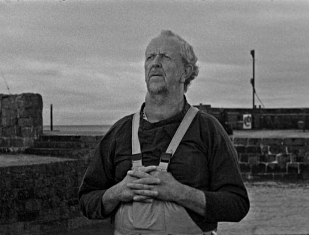 ベイト（餌）の画像