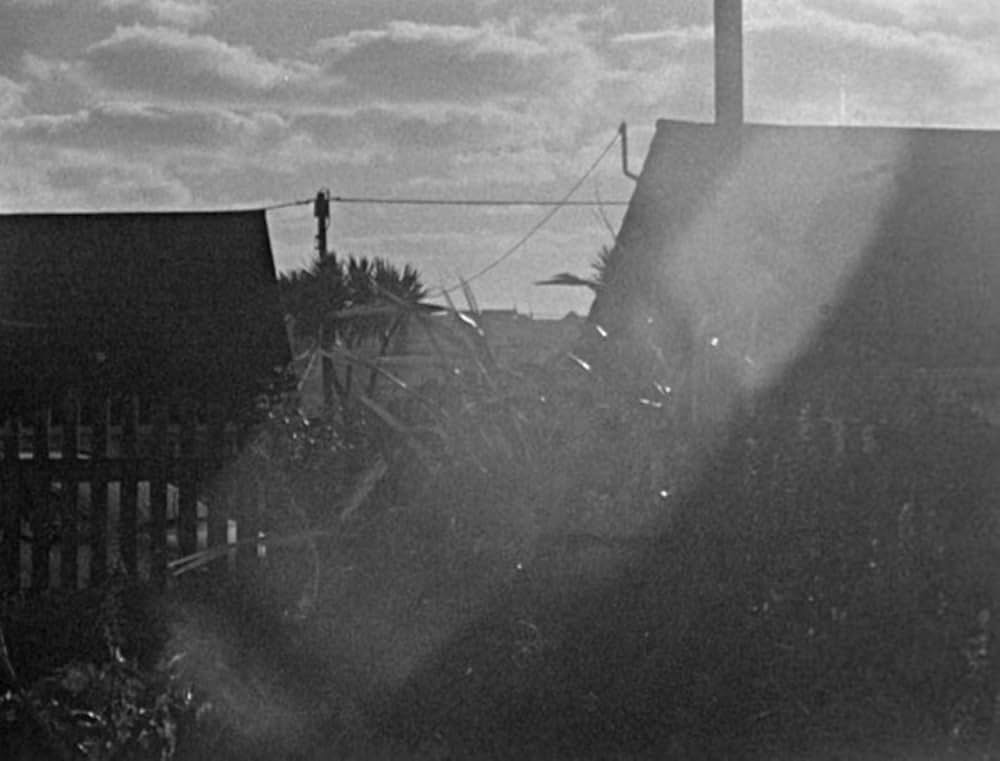 ベイト（餌）の画像