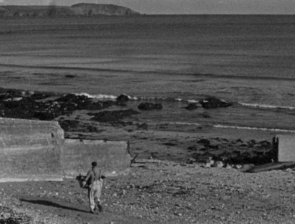 ベイト（餌）の画像