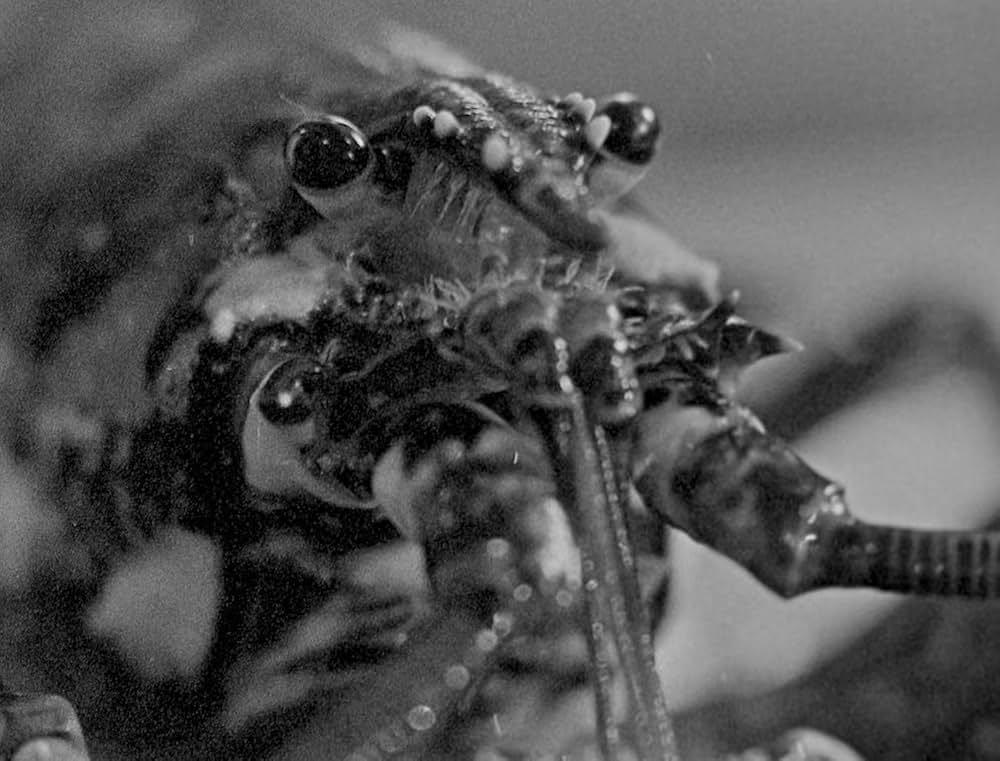 ベイト（餌）の画像