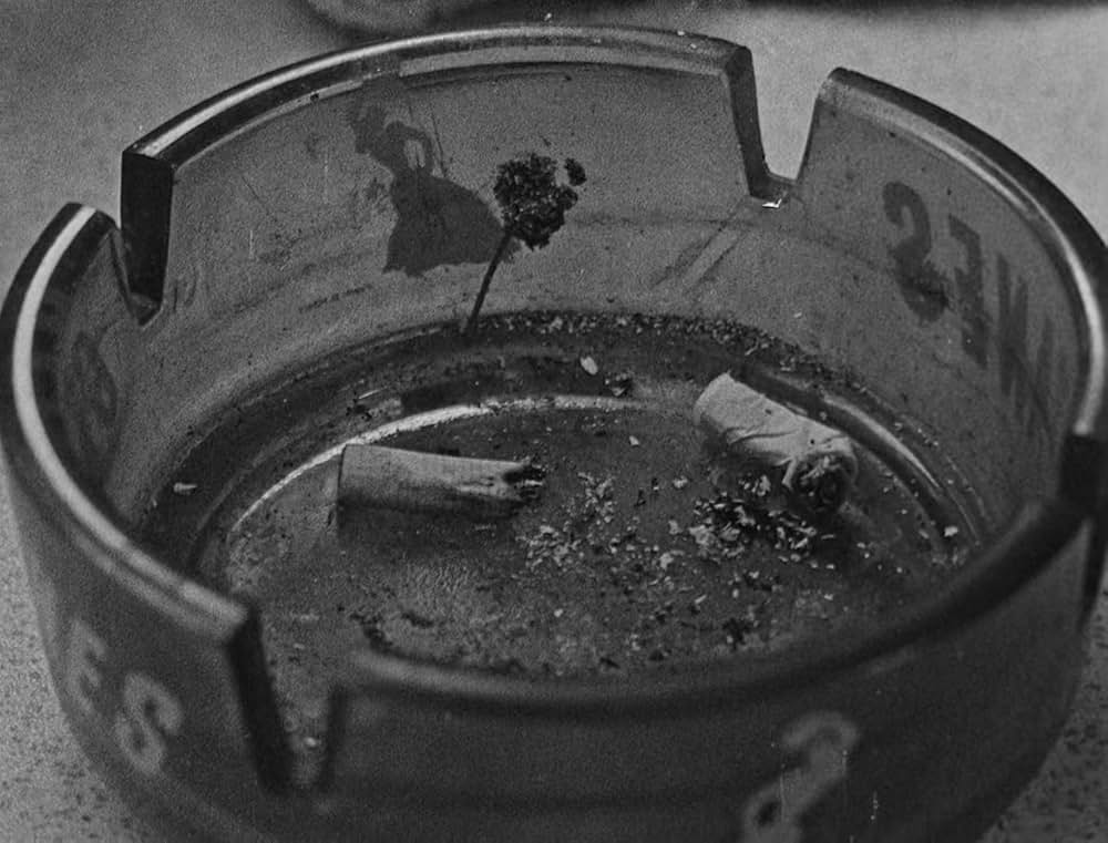 ベイト（餌）の画像