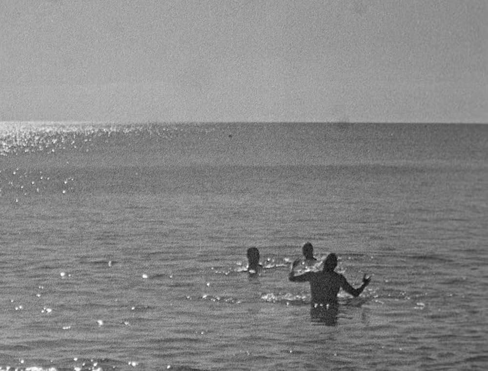 ベイト（餌）の画像