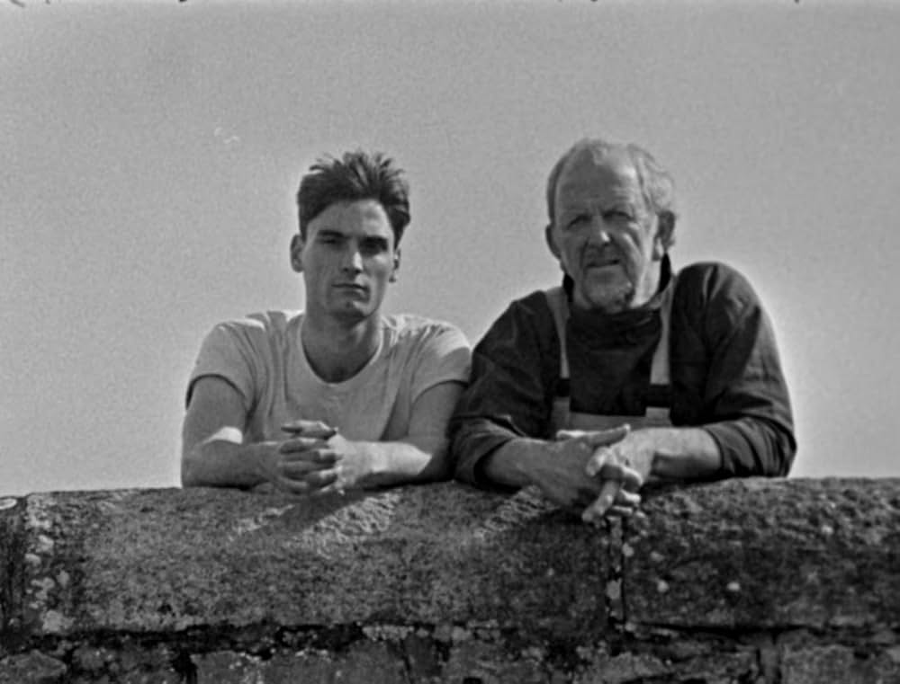 ベイト（餌）の画像