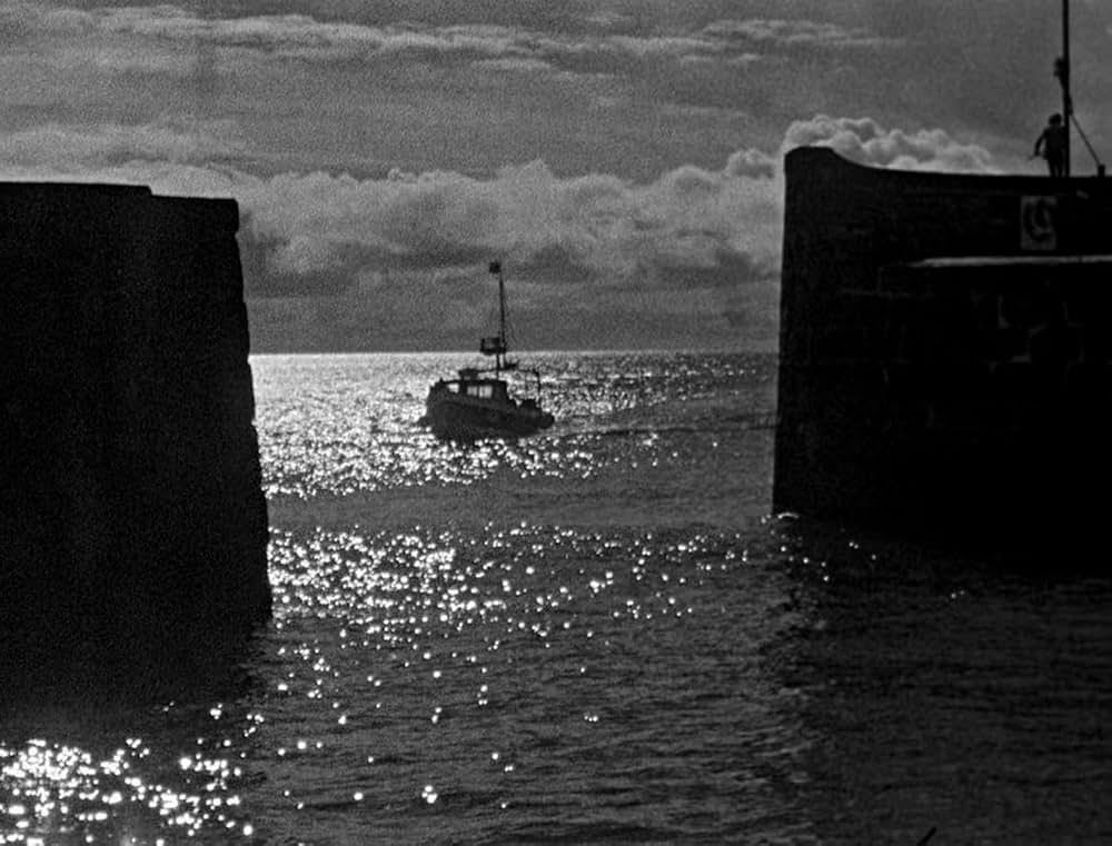 ベイト（餌）の画像