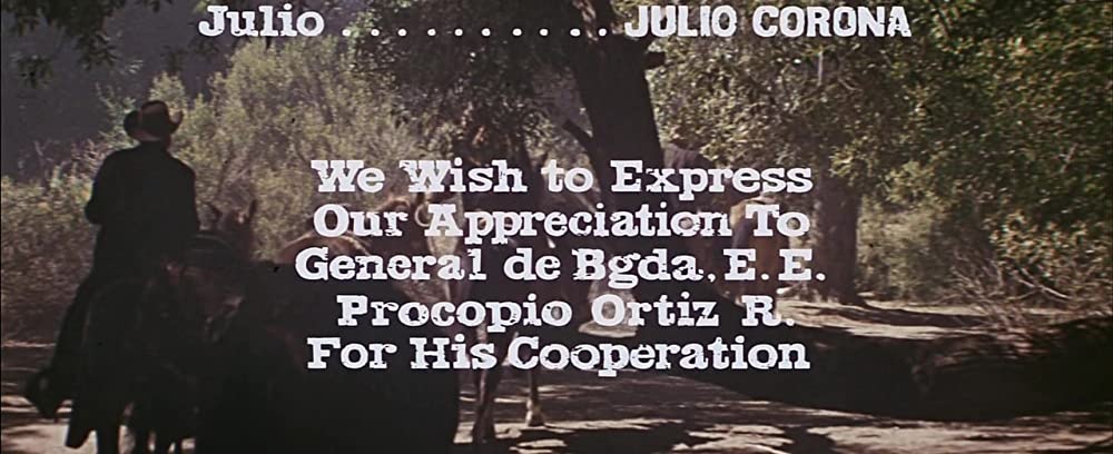 「ワイルドバンチ／オリジナル・ディレクターズ・カット」の画像