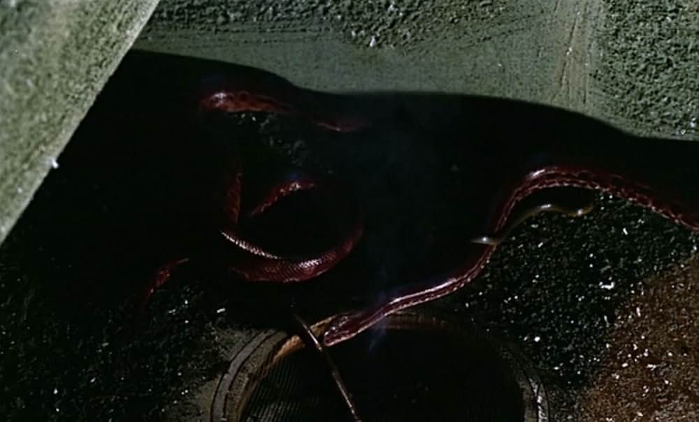 女奴隷の復讐の画像