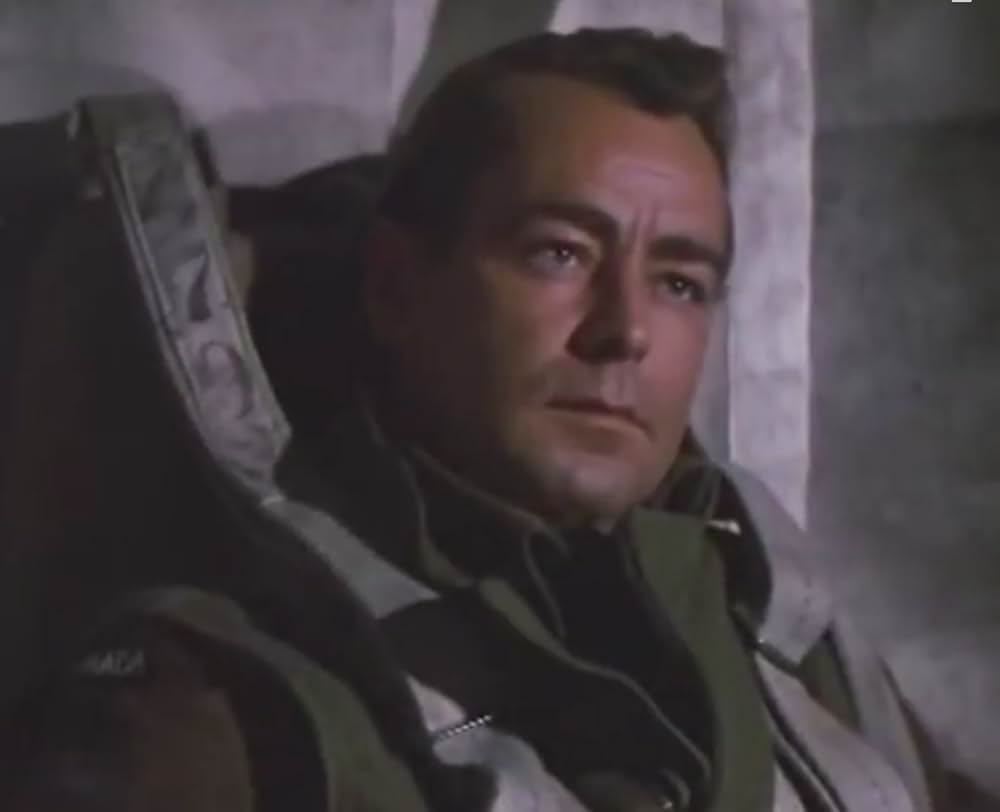 赤いベレーの画像