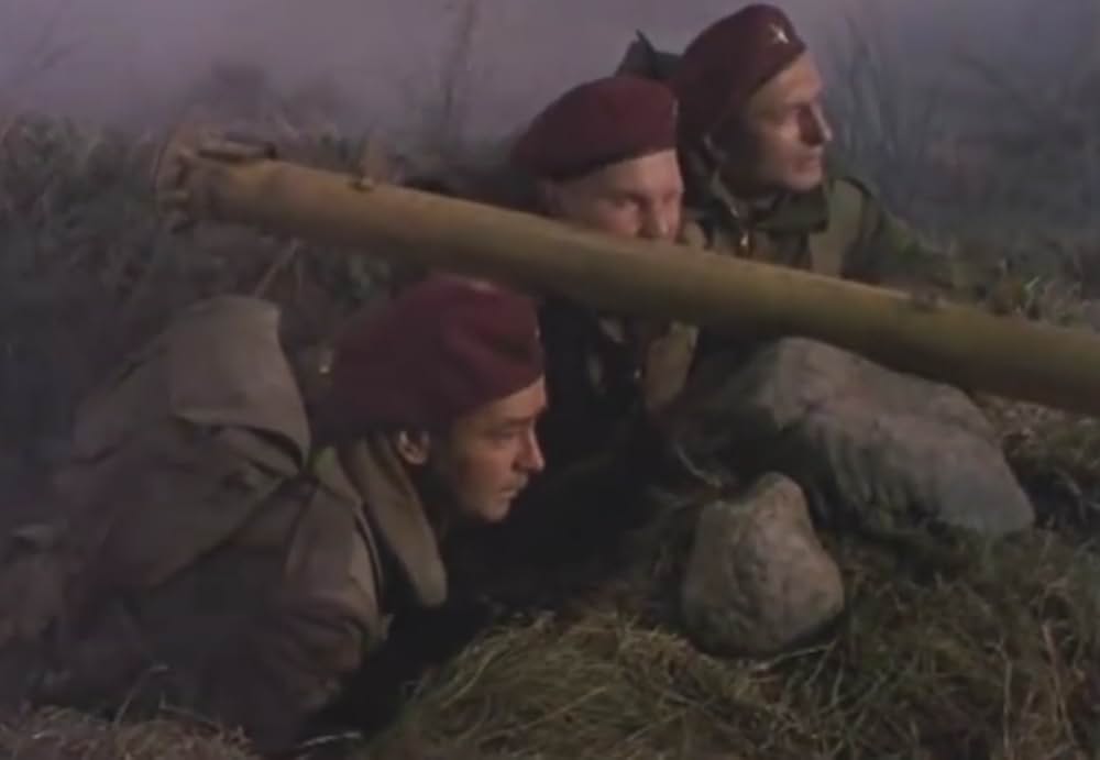 赤いベレーの画像