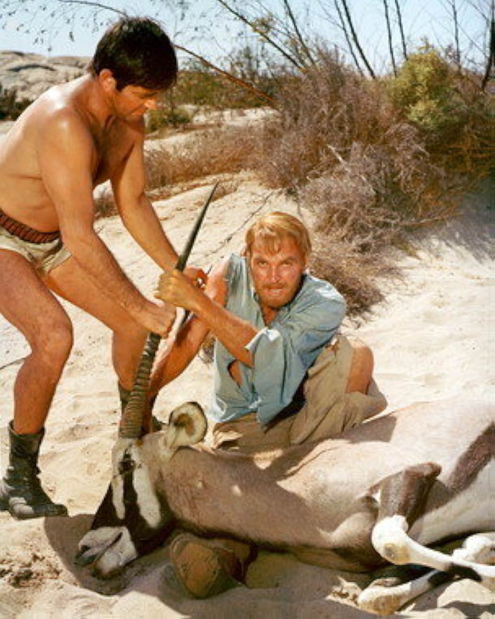 カラハリ砂漠の画像