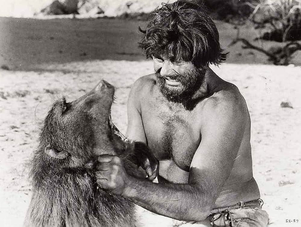 カラハリ砂漠の画像