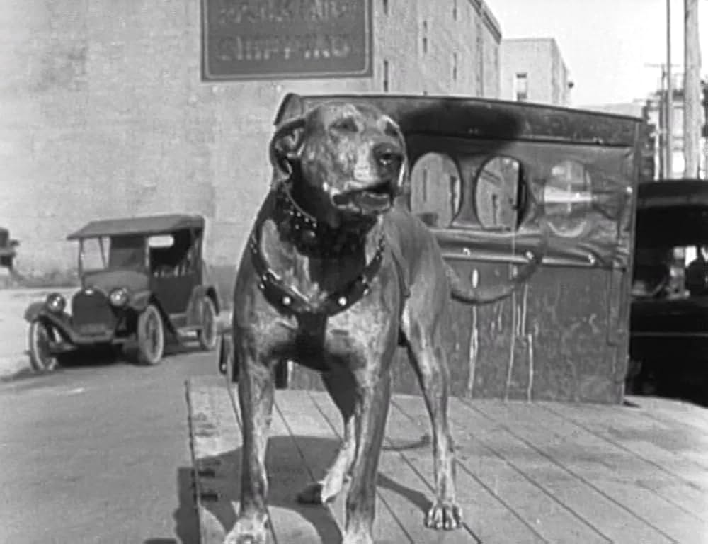 キートンの警官騒動の画像