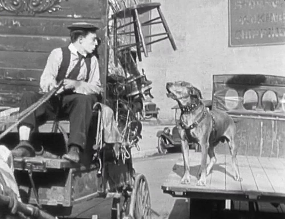 キートンの警官騒動の画像