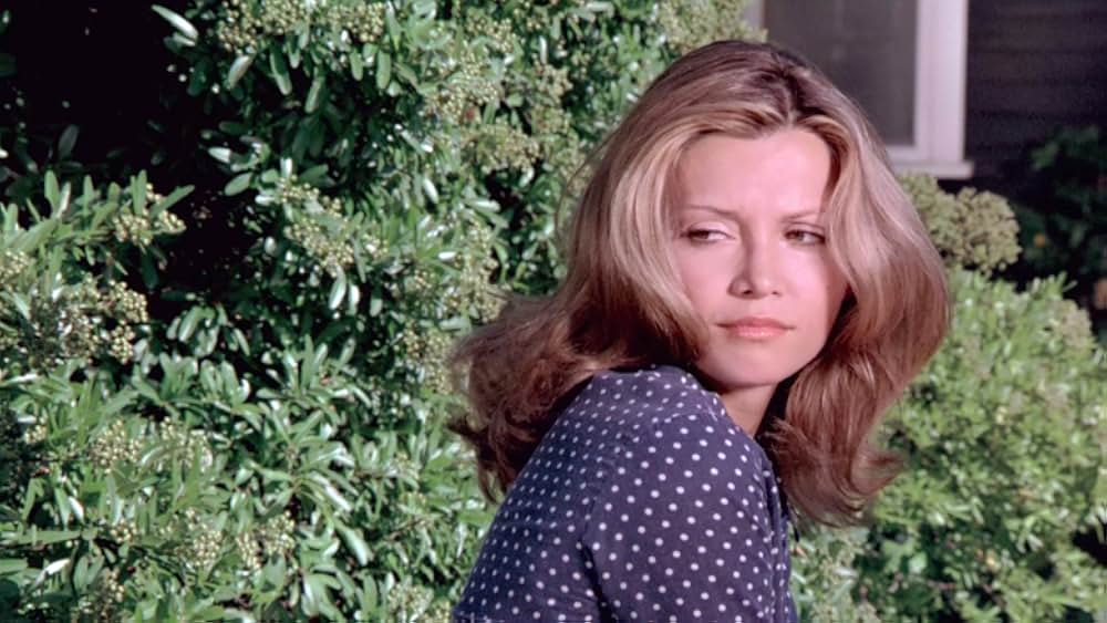 恐怖の暴力自警団の画像