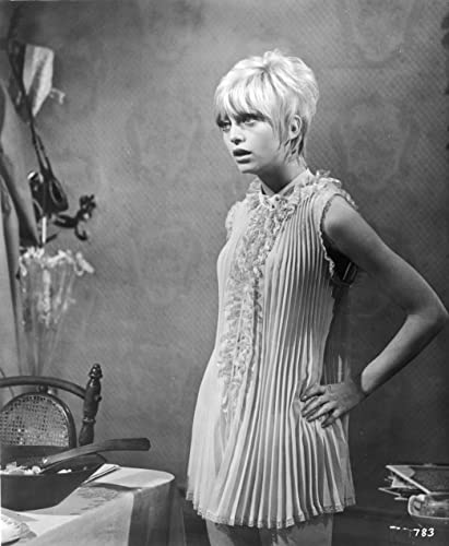 「サボテンの花」ゴールディ・ホーンの画像