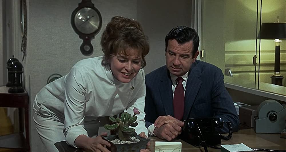 「サボテンの花」イングリッド・バーグマン & ウォルター・マッソーの画像