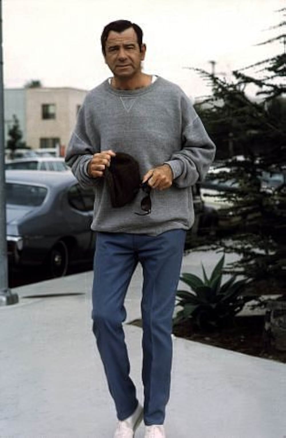 サボテンの花の画像