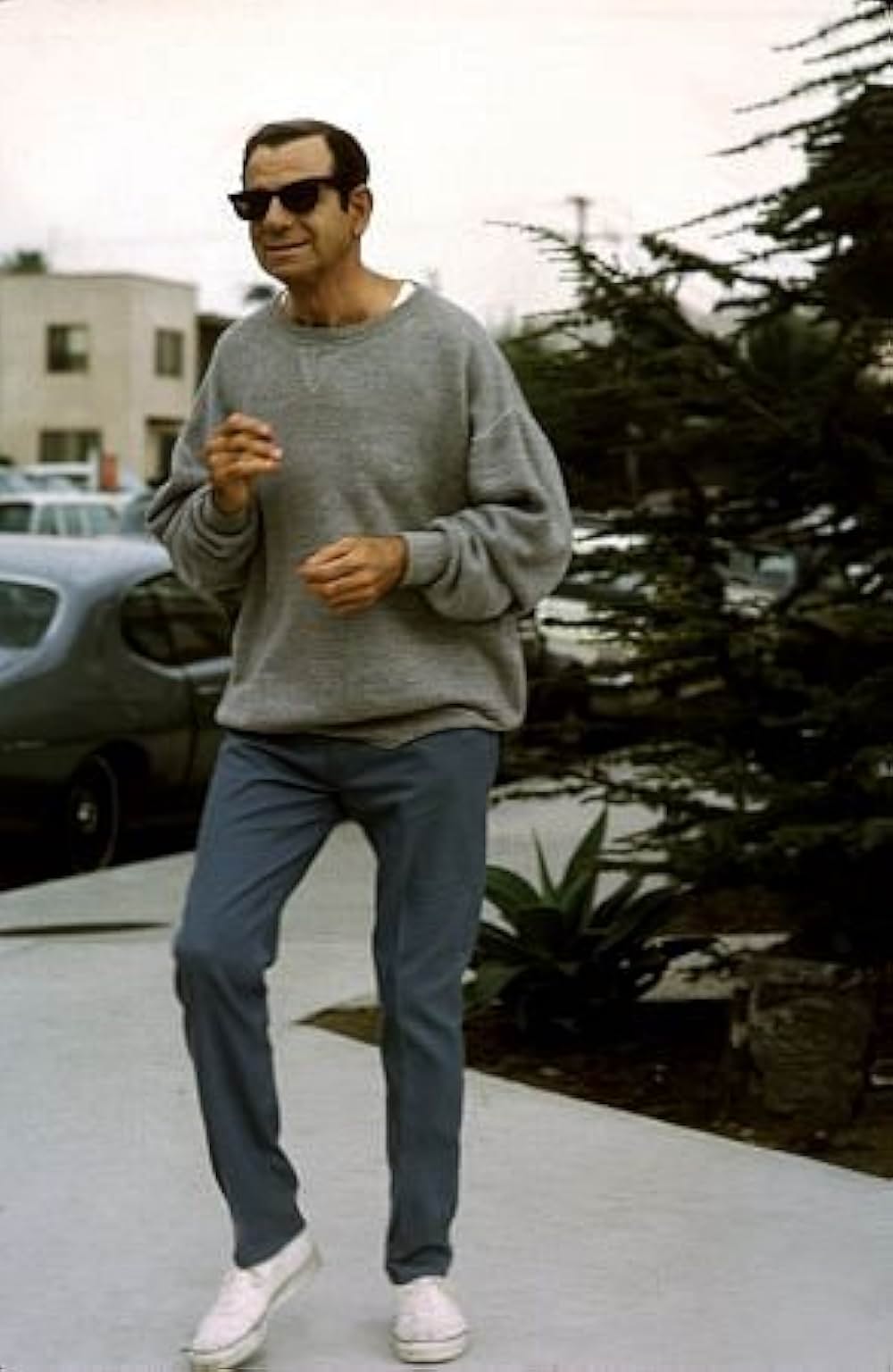 サボテンの花の画像