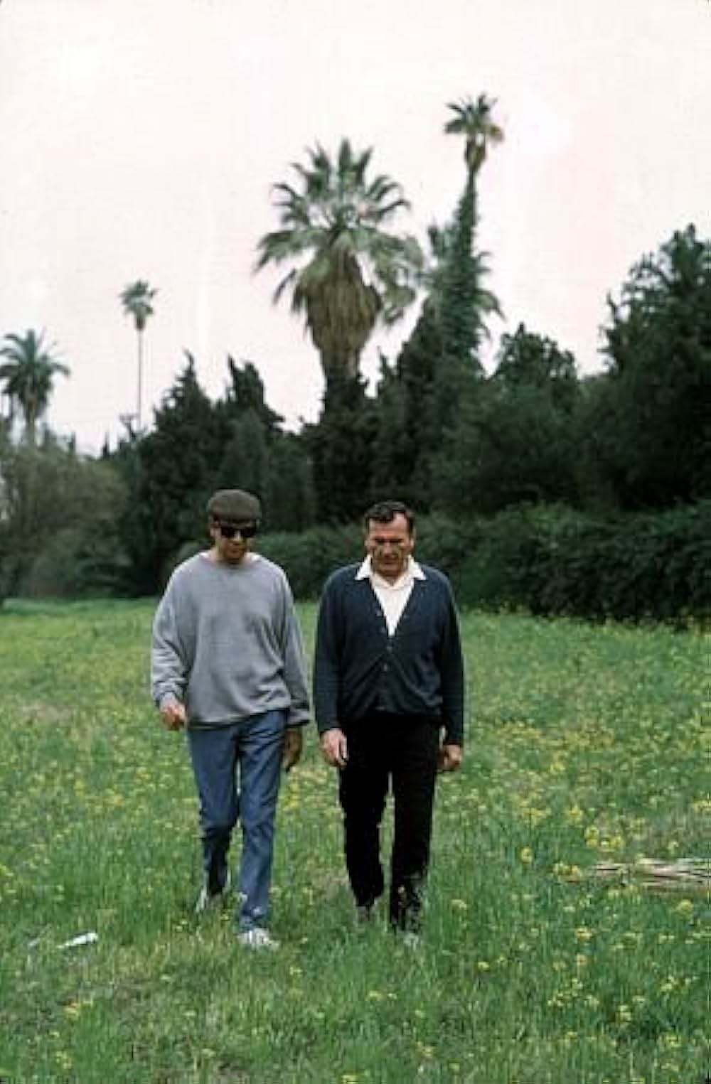 サボテンの花の画像