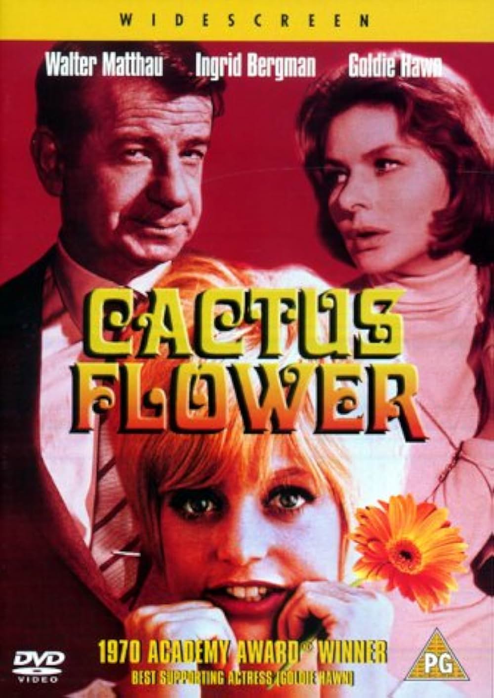 サボテンの花の画像