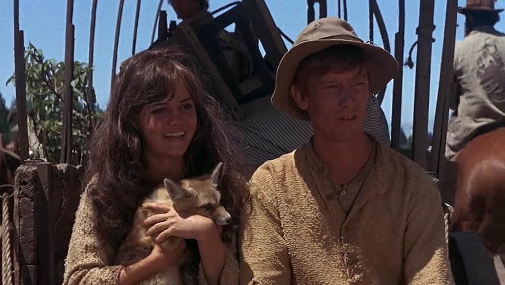 大西部への道の画像