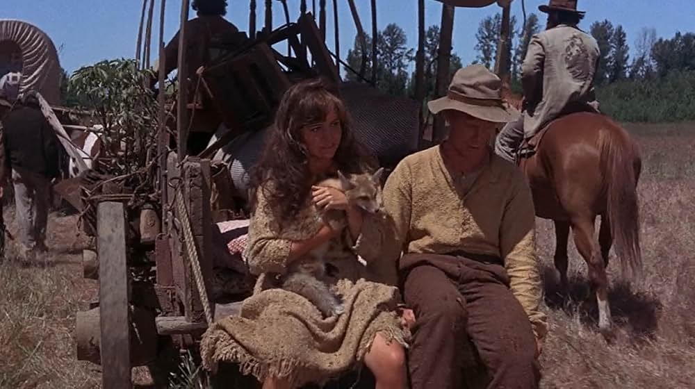 大西部への道の画像