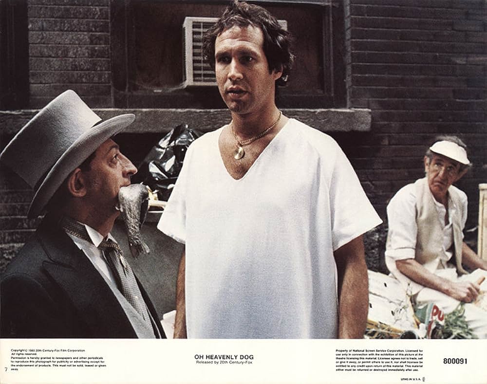 名探偵ベンジーの画像