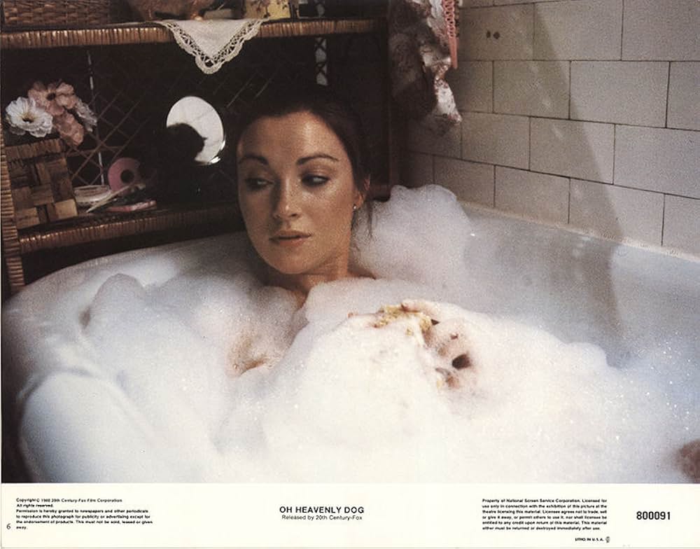 名探偵ベンジーの画像