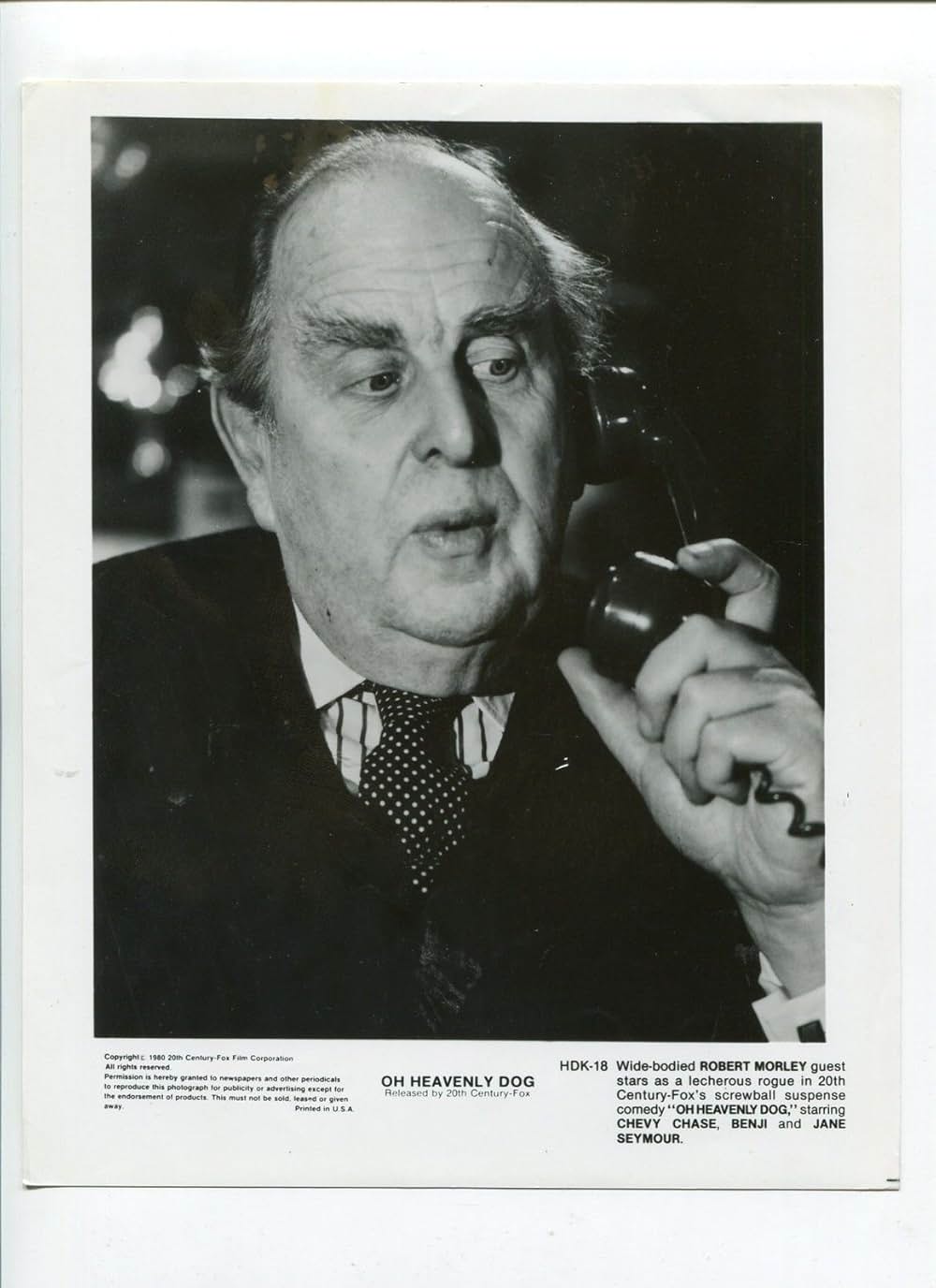 名探偵ベンジーの画像