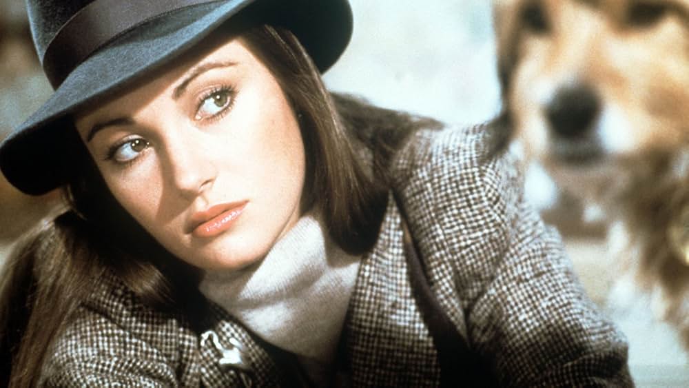 名探偵ベンジーの画像