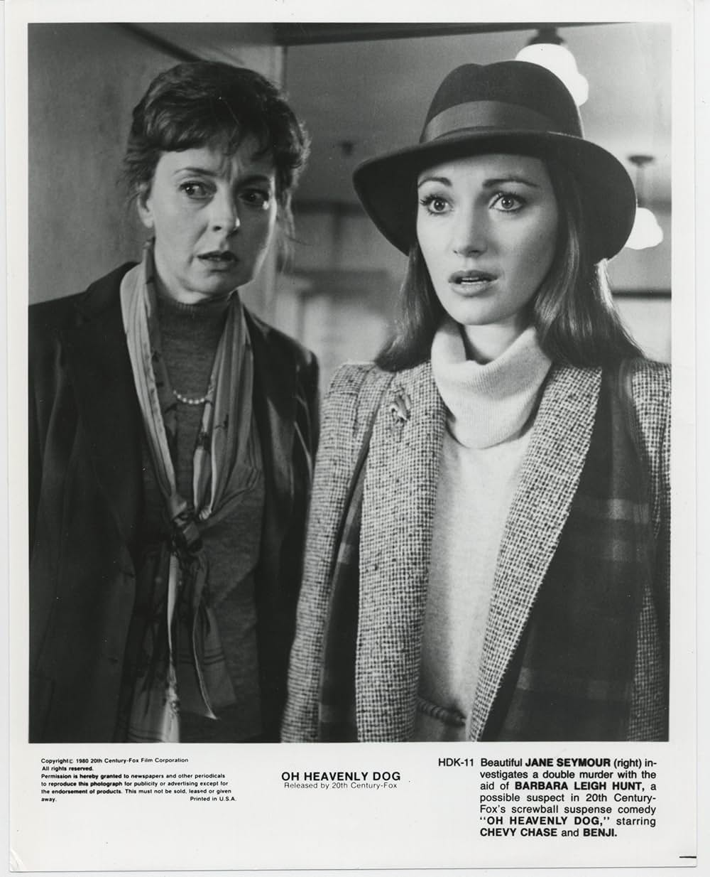 名探偵ベンジーの画像