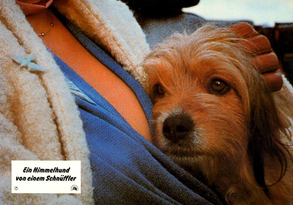 名探偵ベンジーの画像