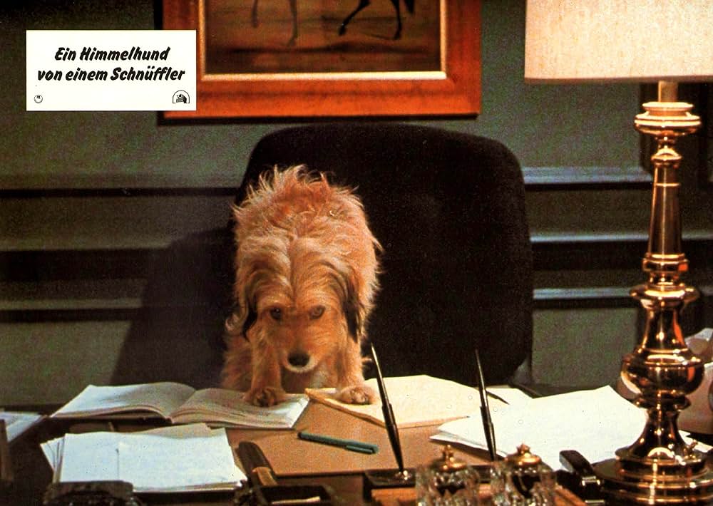 名探偵ベンジーの画像