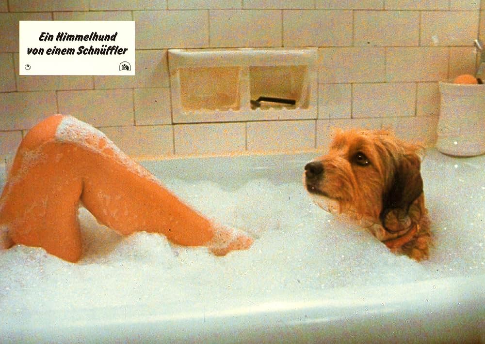 名探偵ベンジーの画像