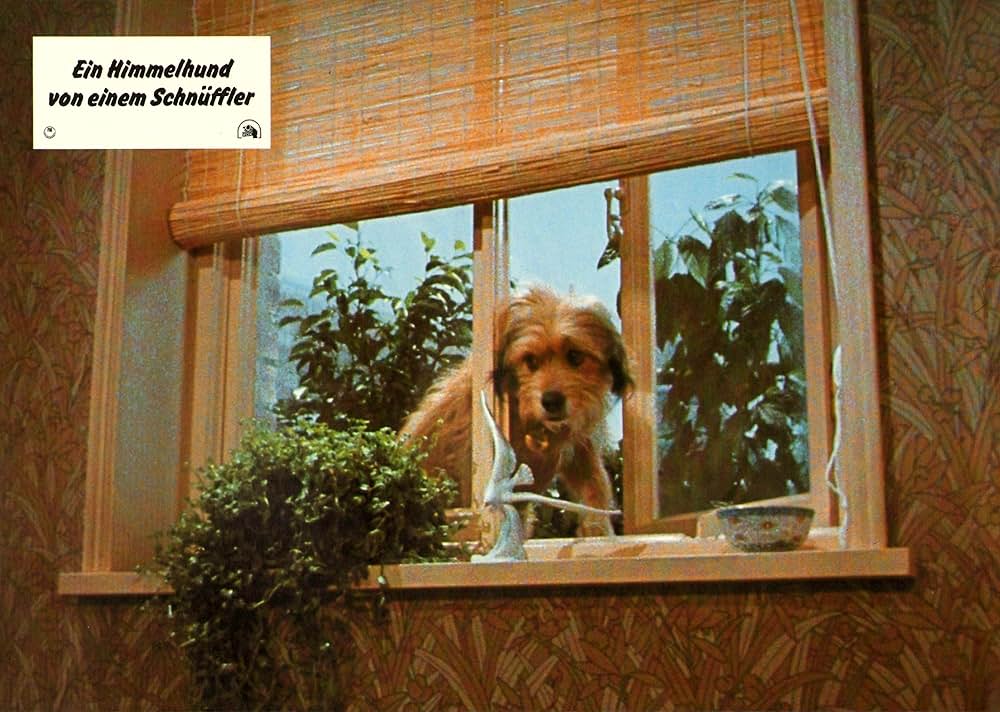 名探偵ベンジーの画像