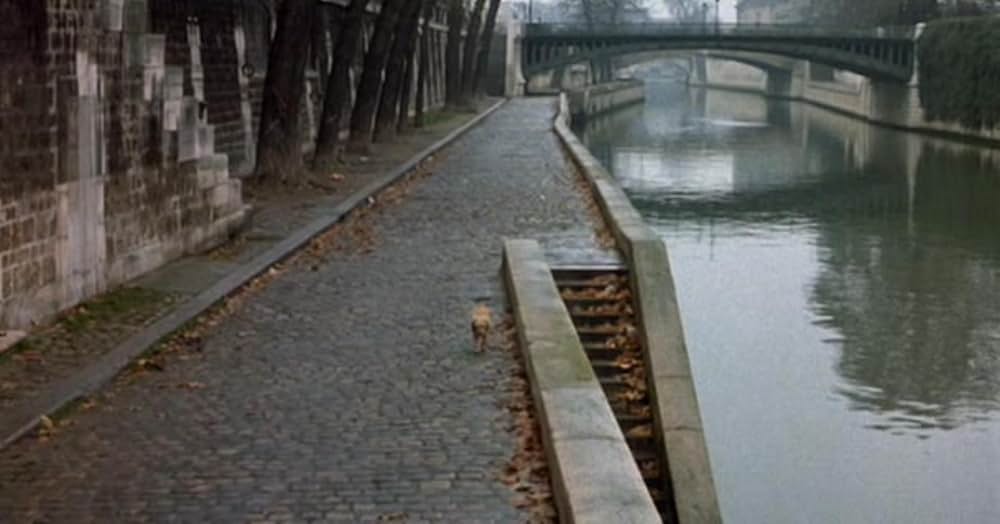 名探偵ベンジーの画像