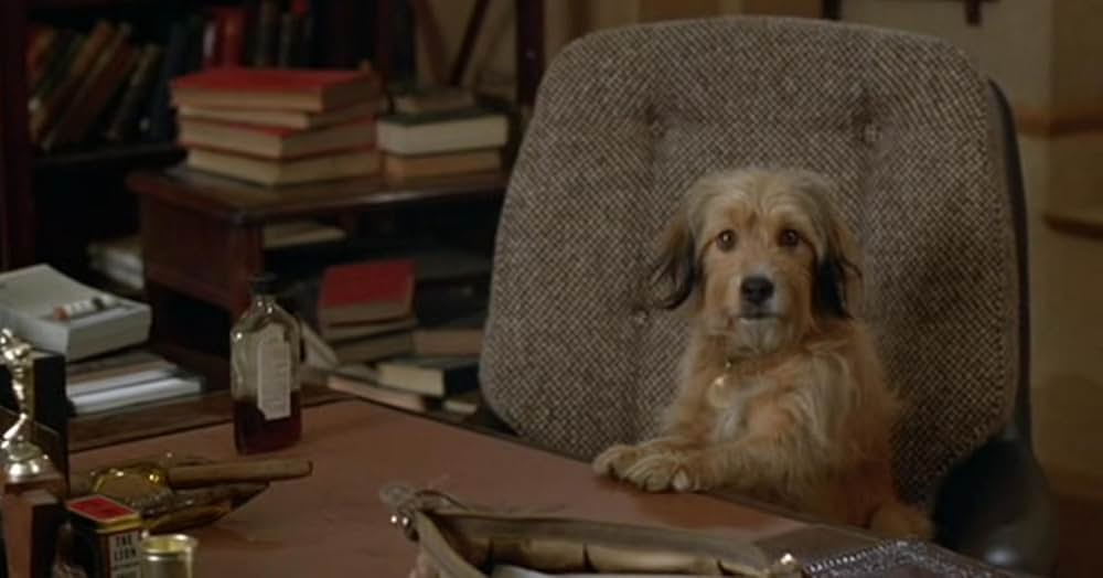 名探偵ベンジーの画像