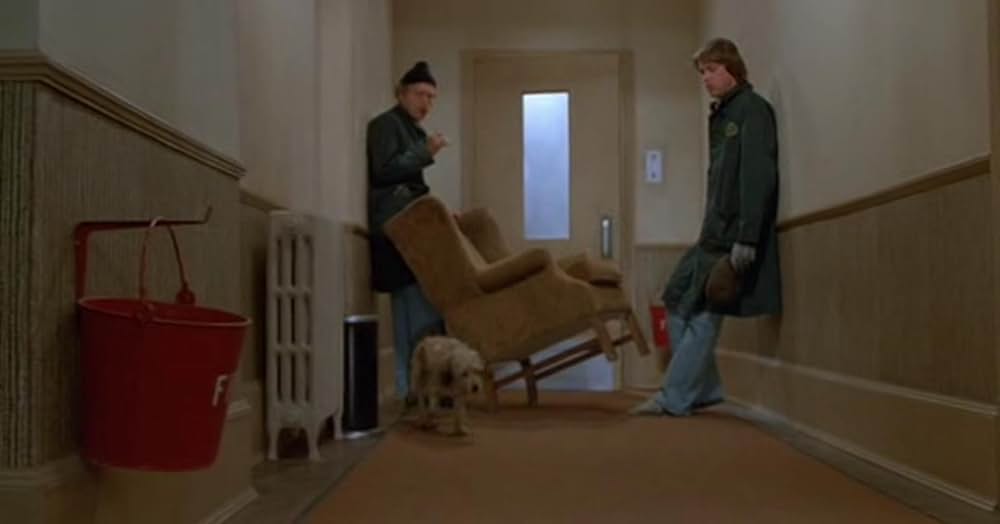 名探偵ベンジーの画像