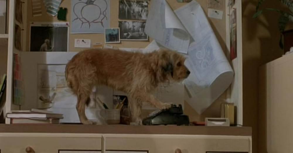 名探偵ベンジーの画像