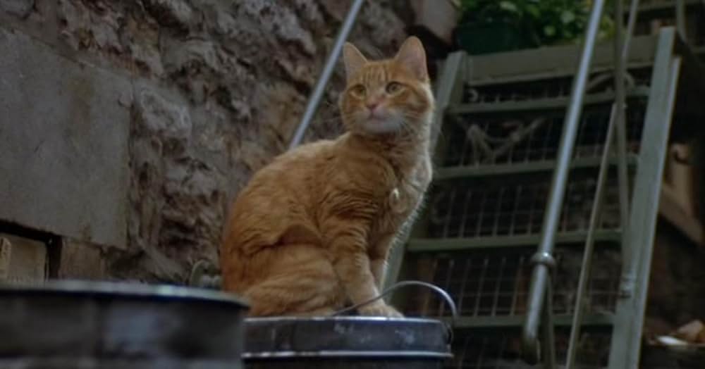 名探偵ベンジーの画像