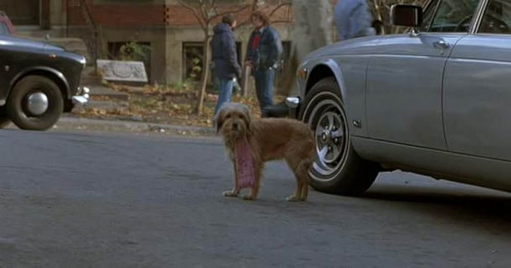 名探偵ベンジーの画像