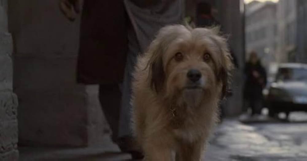 名探偵ベンジーの画像