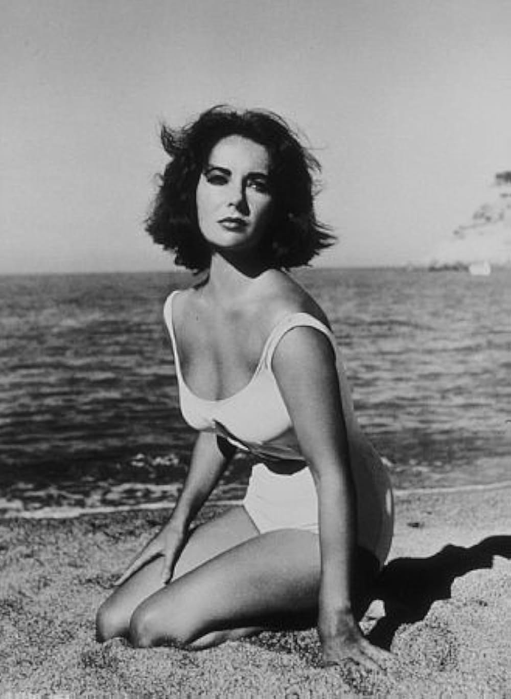 去年の夏 突然にの画像