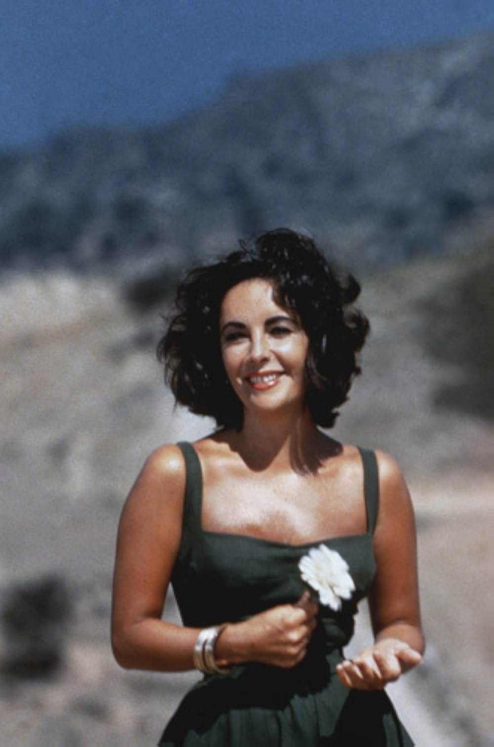 去年の夏 突然にの画像