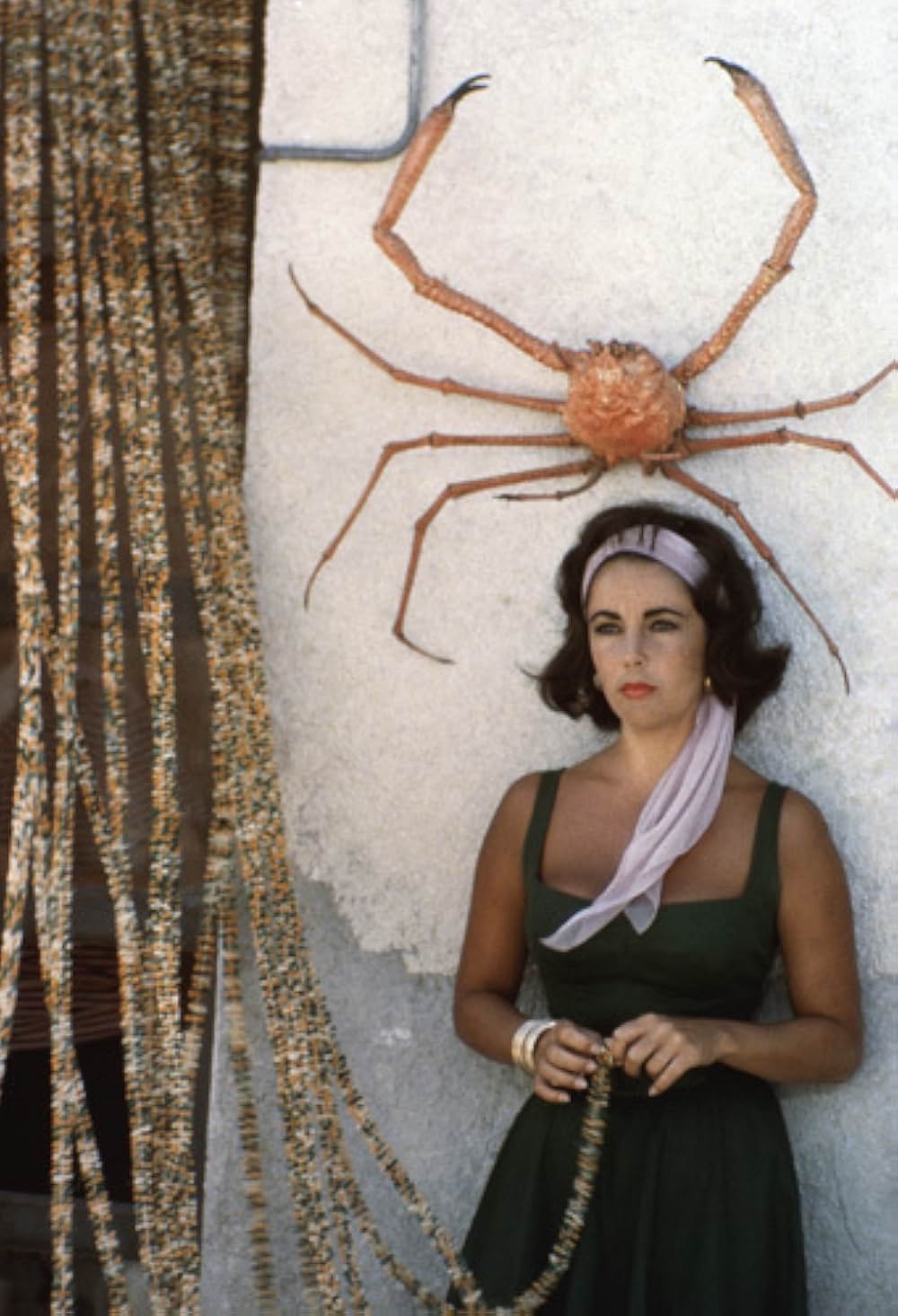 去年の夏 突然にの画像