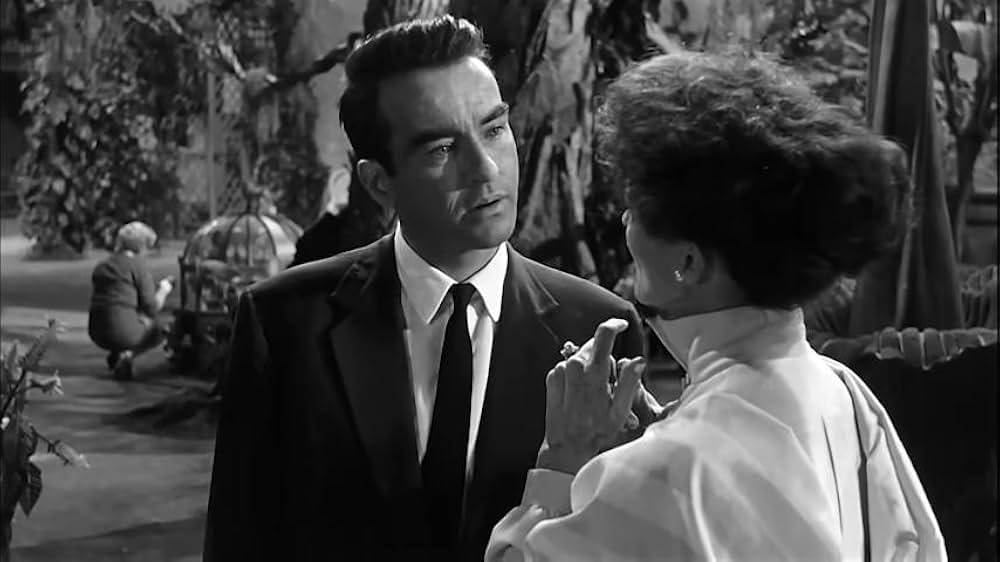 去年の夏 突然にの画像