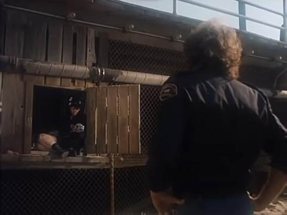 血に飢えた白い砂浜／ブラッド・ビーチ／謎の巨大生物！ギャルまるかじりの画像