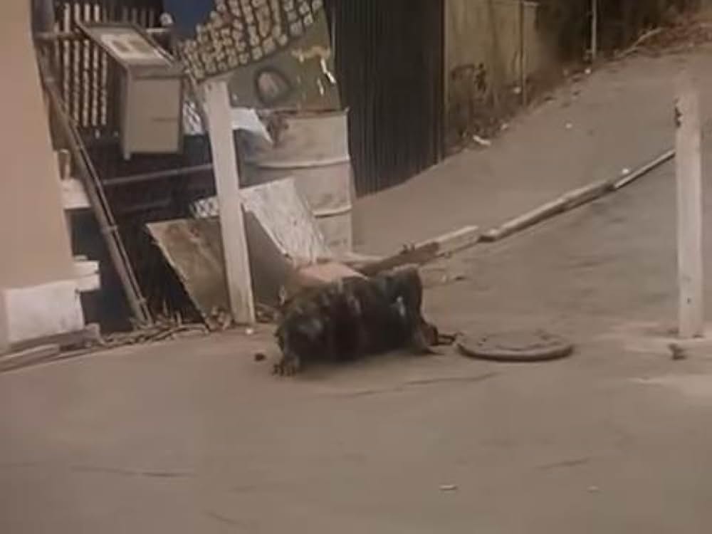 血に飢えた白い砂浜／ブラッド・ビーチ／謎の巨大生物！ギャルまるかじりの画像